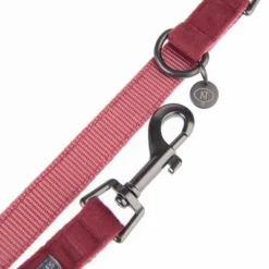 Nomad Tales Blush Hundeleine, Rosé -ZOOPLUS Verkäufe 325601 nomad tales blush hundeleine rose fg 1398 4