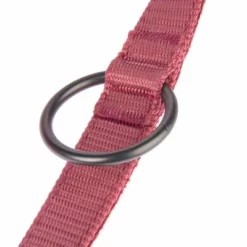 Nomad Tales Blush Hundeleine, Rosé -ZOOPLUS Verkäufe 325601 nomad tales blush hundeleine rose fg 1401 7