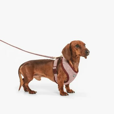 Nomad Tales Calma Hundeleine, Burgundy 10 Nomad Tales Calma Hundeleine, Burgundy – Bild 8