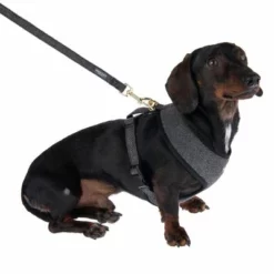 Nomad Tales Calma Hundeleine, Ebony 18 Nomad Tales Calma Hundeleine, Ebony -ZOOPLUS Verkäufe 325996 325901 calma m fg 7270 7