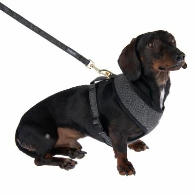 Nomad Tales Calma Hundeleine, Ebony 7 Nomad Tales Calma Hundeleine, Ebony – Bild 5