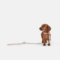 Nomad Tales Calma Halsband, Sand -ZOOPLUS Verkäufe 326198 326096 nomad tales calma halsband ebony 02 9