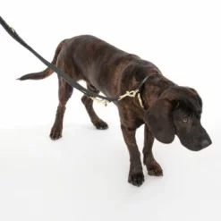 Nomad Tales Calma Halsband, Ebony -ZOOPLUS Verkäufe 326805 calma l ebony fg 7938 1