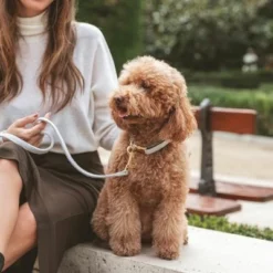 Nomad Tales Calma Halsband, Stone -ZOOPLUS Verkäufe 326806 326197 nomad tales calma halsband stone 03 5