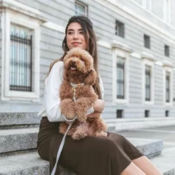 Nomad Tales Calma Hundeleine, Stone -ZOOPLUS Verkäufe 326806 326197 nomad tales calma halsband stone 05 0 1