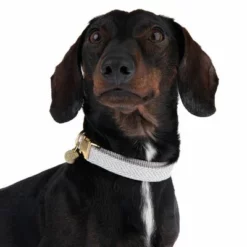 Nomad Tales Calma Halsband, Stone -ZOOPLUS Verkäufe 326807 calma m fg 7321 6