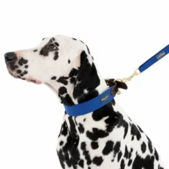 Nomad Tales Bloom Leine, Sapphire -ZOOPLUS Verkäufe 326810 328197 bloom l fg 7587 2