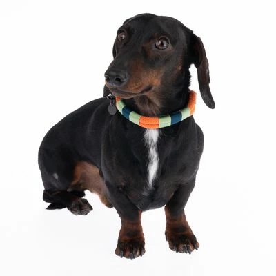 Nomad Tales Spirit Halsband, Tangerine 7 Nomad Tales Spirit Halsband, Tangerine – Bild 5