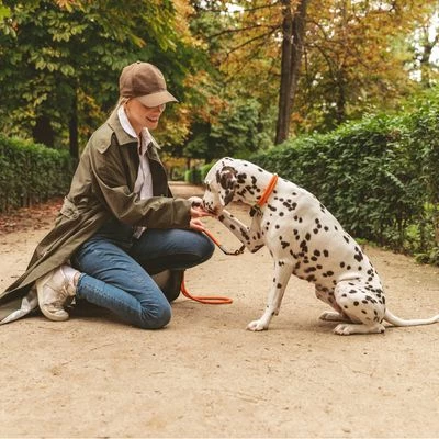 Nomad Tales Spirit Halsband, Tangerine 6 Nomad Tales Spirit Halsband, Tangerine – Bild 4