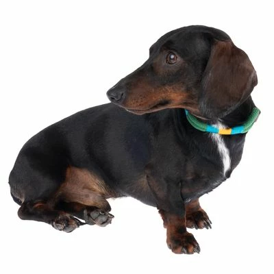 Nomad Tales Spirit Halsband, Pine 6 Nomad Tales Spirit Halsband, Pine – Bild 4