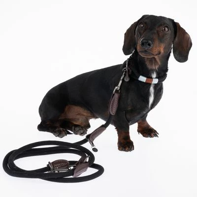 Nomad Tales Spirit Leine, Ebony 11 Nomad Tales Spirit Leine, Ebony – Bild 9