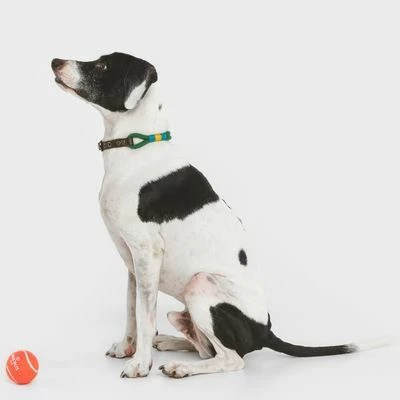 Nomad Tales Spirit Halsband, Pine 7 Nomad Tales Spirit Halsband, Pine – Bild 5