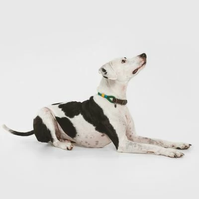 Nomad Tales Spirit Halsband, Pine 4 Nomad Tales Spirit Halsband, Pine – Bild 2