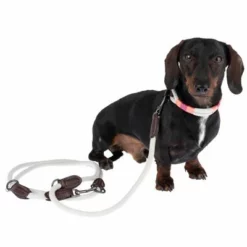 Nomad Tales Spirit Halsband, Stone 32 Nomad Tales Spirit Halsband, Stone -ZOOPLUS Verkäufe 329197 329397 spirit xs fg 7690 3