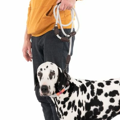 Nomad Tales Spirit Leine, Stone 11 Nomad Tales Spirit Leine, Stone – Bild 9