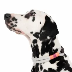 Nomad Tales Spirit Halsband, Stone 21 Nomad Tales Spirit Halsband, Stone -ZOOPLUS Verkäufe 329296 spirit l fg 7484 4