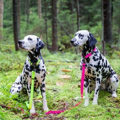 Rukka® Bliss Neon Leine, Pink – Bild 3