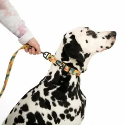 TIAKI Hundeleine Easy Care -ZOOPLUS Verkäufe 332199 easy care l fg 0504 8