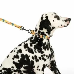 TIAKI Hundeleine Easy Care -ZOOPLUS Verkäufe 332199 easy care l fg 0505 5