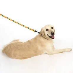 TIAKI Hundeleine Easy Care -ZOOPLUS Verkäufe 332199 easy care l fg 1739 5