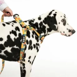 TIAKI Geschirr Easy Care -ZOOPLUS Verkäufe 332204 easy care geschirr l fg 0490 7