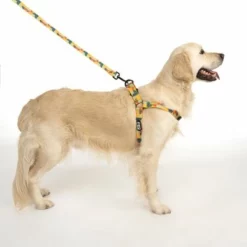 TIAKI Geschirr Easy Care -ZOOPLUS Verkäufe 332204 easy care geschirr l fg 1755 2