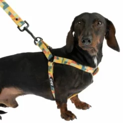 TIAKI Geschirr Easy Care -ZOOPLUS Verkäufe 332296 easy care geschirr xl fg 1462 9