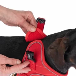 TIAKI Geschirr Wave Vest, Rot -ZOOPLUS Verkäufe 338698 tiaki wave vest m fg 8936 6