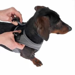 TIAKI Geschirr Wave Vest, Anthrazit -ZOOPLUS Verkäufe 338706 tiaki wave vest m fg 8999 9