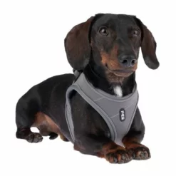 TIAKI Geschirr Wave Vest, Anthrazit -ZOOPLUS Verkäufe 338706 tiaki wave vest m fg 9003 3