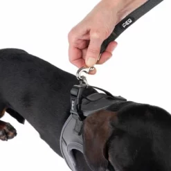 TIAKI Geschirr Wave Vest, Anthrazit -ZOOPLUS Verkäufe 338706 tiaki wave vest m fg 9010 8