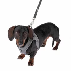 TIAKI Geschirr Wave Vest, Anthrazit -ZOOPLUS Verkäufe 338706 tiaki wave vest m fg 9014 1