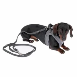 TIAKI Geschirr Wave Vest, Anthrazit -ZOOPLUS Verkäufe 338706 tiaki wave vest m fg 9017 9