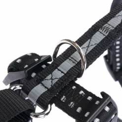 TIAKI Sicherheitsgeschirr Reflectneu -ZOOPLUS Verkäufe 367807 tiaki safety harness reflect fg 3937 9
