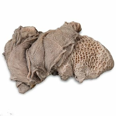 ProCani Blättermagen / Pansen Grün 9 ProCani Blättermagen / Pansen Grün – Bild 7