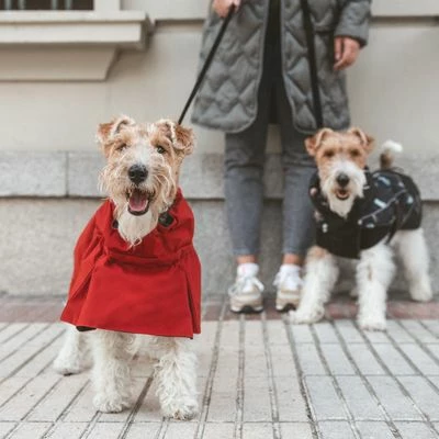 Nomad Tales Spirit Hunderegenmantel Copperneu 7 Nomad Tales Spirit Hunderegenmantel Copperneu – Bild 5