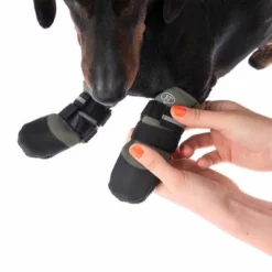 Nomad Tales Spirit Pfotenschutz Aegis -ZOOPLUS Verkäufe 370896 nt spirit pfotenschutz aegis s fg 2863 1