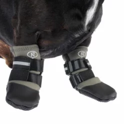 Nomad Tales Spirit Pfotenschutz Aegis -ZOOPLUS Verkäufe 370896 nt spirit pfotenschutz aegis s fg 2866 6