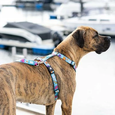 Max & Molly H-Geschirr Blue Ocean 5 Max & Molly H-Geschirr Blue Ocean – Bild 3