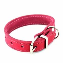 Heim Halsband Mit Ziernaht, Pinkneu -ZOOPLUS Verkäufe 383822 pla halsband ziernaht 30cm pink hs 01 3