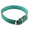 Heim Halsband Mit Ziernaht, Petrolneu -ZOOPLUS Verkäufe 383829 pla halsband ziernaht 50cm petrol hs 01 7