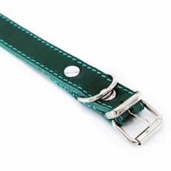 Heim Halsband Mit Ziernaht, Petrolneu 14 Heim Halsband Mit Ziernaht, Petrolneu -ZOOPLUS Verkäufe 383830 halsband ziernaht 60cm petrol hs 03 4