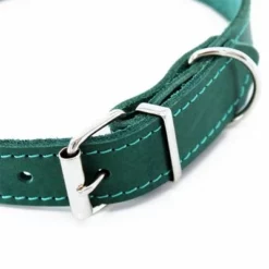 Heim Halsband Mit Ziernaht, Petrolneu 13 Heim Halsband Mit Ziernaht, Petrolneu -ZOOPLUS Verkäufe 383830 halsband ziernaht 60cm petrol hs 04 8