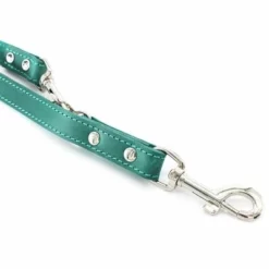 Heim Verstellbare Führleine Mit Ziernaht, Petrolneu -ZOOPLUS Verkäufe 383906 heim verstellbare fuhrleine ziernaht petrol hs 0 3