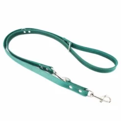 Heim Verstellbare Führleine Mit Ziernaht, Petrolneu -ZOOPLUS Verkäufe 383906 pla heim verstellbare fuhrleine ziernaht petrol hs 01 1