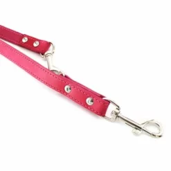 Heim Verstellbare Führleine Mit Ziernaht, Pinkneu -ZOOPLUS Verkäufe 383916 fuhrleine ziernaht 220cm pink hs 02 1