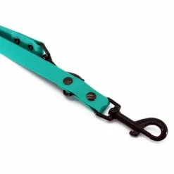 Heim Verstellbare Führleine BioThane, Türkisneu 10 Heim Verstellbare Führleine BioThane, Türkisneu -ZOOPLUS Verkäufe 383922 fuhrleine biothane 200cm turkis hs 03 0