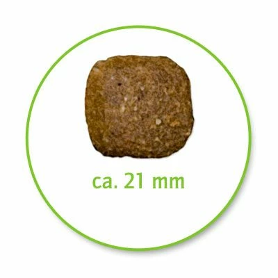 Belcando Junior Maxi 5 Belcando Junior Maxi – Bild 3