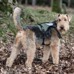 Rukka® Mission Geschirr, Olivneu -ZOOPLUS Verkäufe 387015 386914 386915 386916 rukka mission harness darkolive hs 05 9