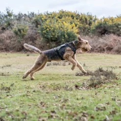 Rukka® Mission Geschirr, Olivneu -ZOOPLUS Verkäufe 387015 386914 386915 386916 rukka mission harness darkolive hs 06 6